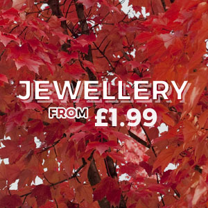 JEWELLERY - From £1.99